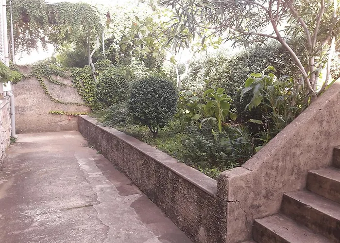 Pavlito