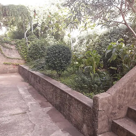 Pavlito